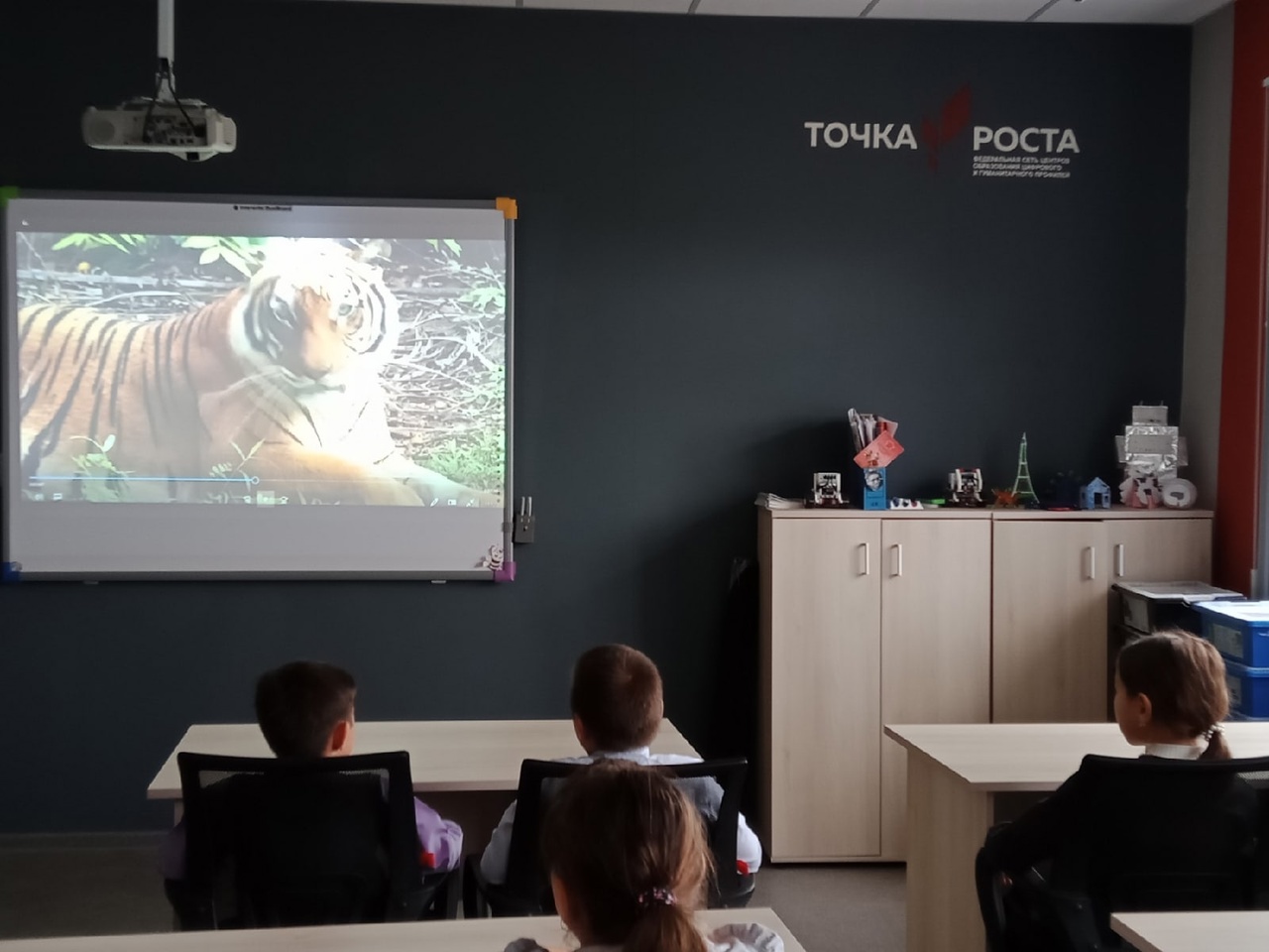 Всероссийский урок тигра.