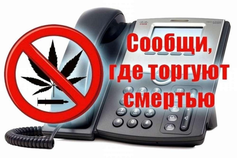 Сообщи, где торгуют смертью.
